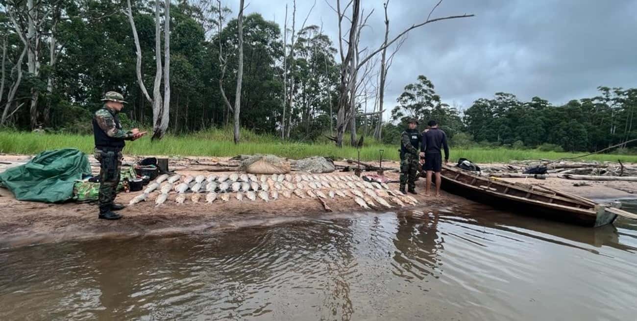 Corrientes: secuestraron 300 kilos de pescado en el operativo "Pasión de Sábalo"