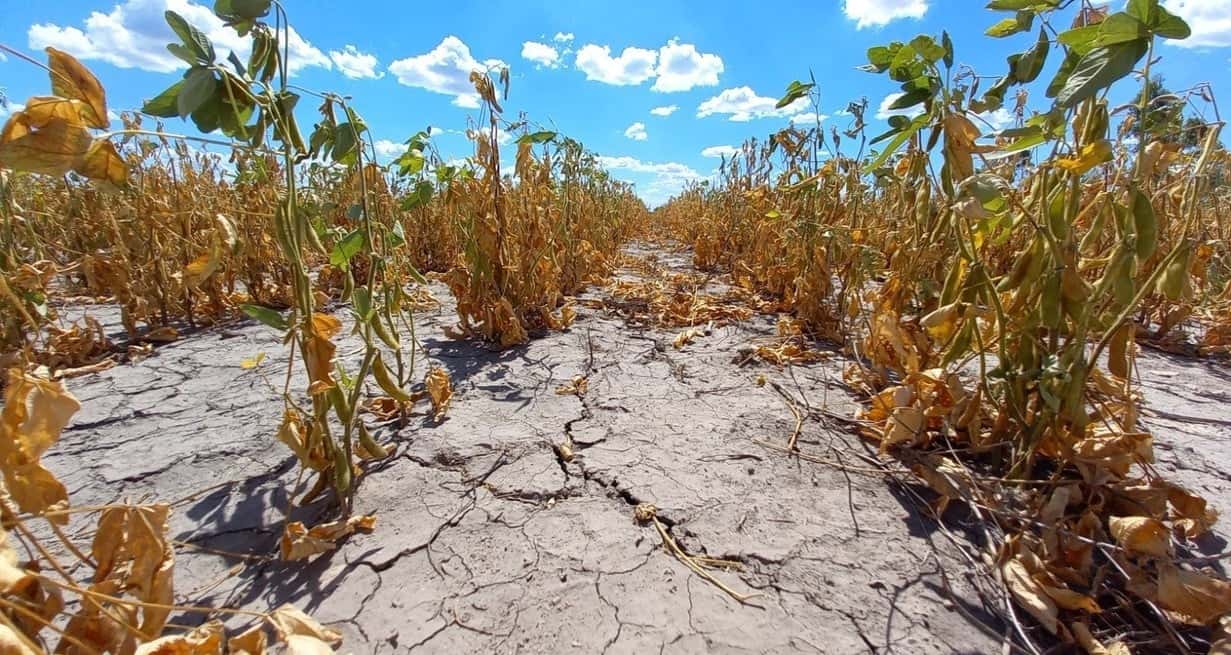 Por la sequía, se perdieron ingresos por más de U$S 7 mil millones en Santa Fe