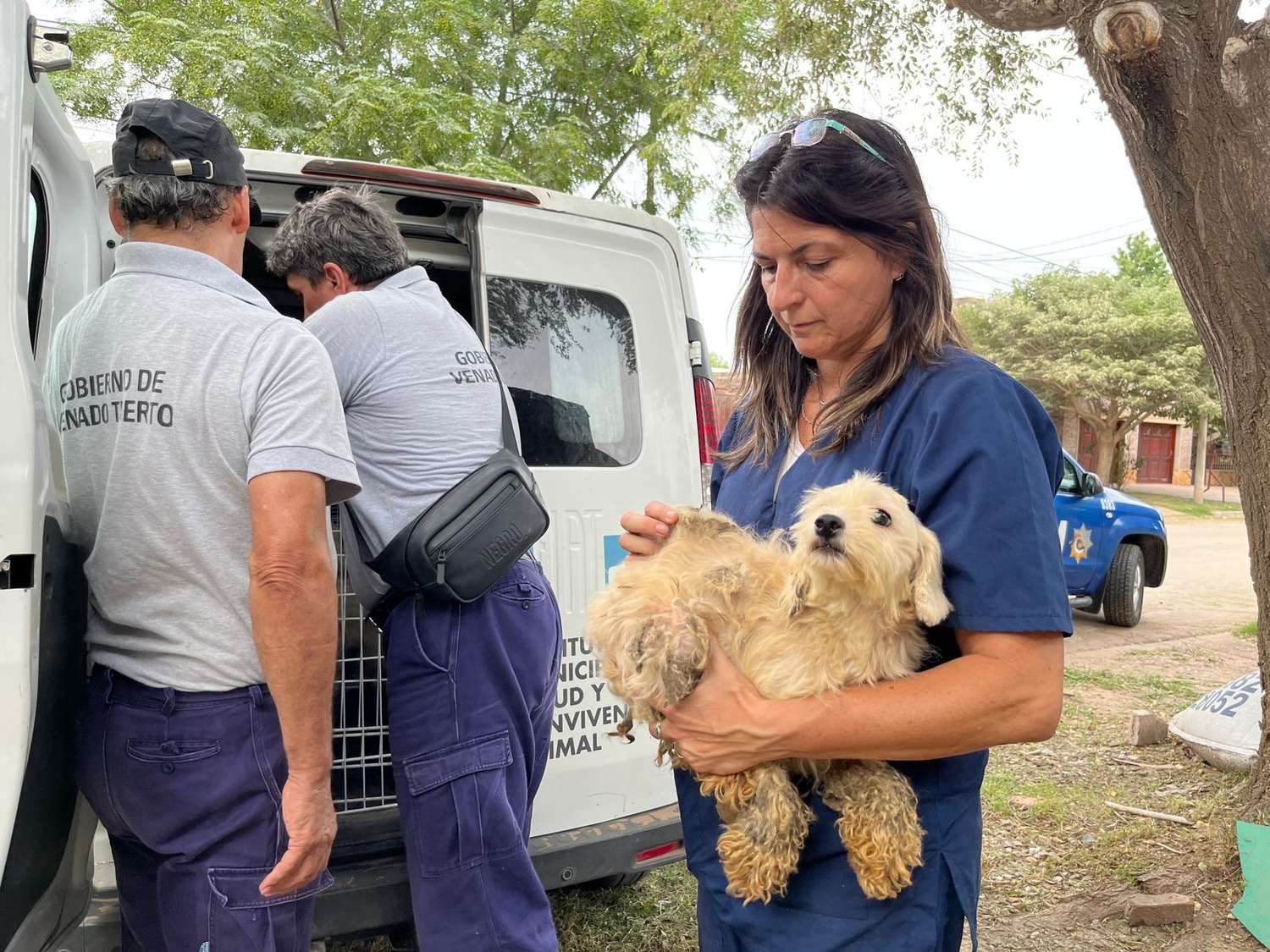 Venado Tuerto: rescataron a otros 11 caniches en pésimo estado de salud