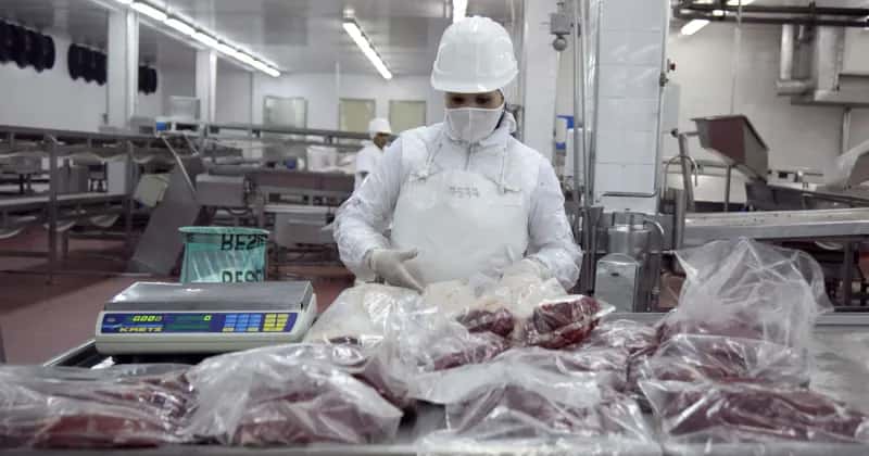 En 2023 el Senasa certificó la exportación de 36.800 toneladas de carne bovina sin hueso a Israel.