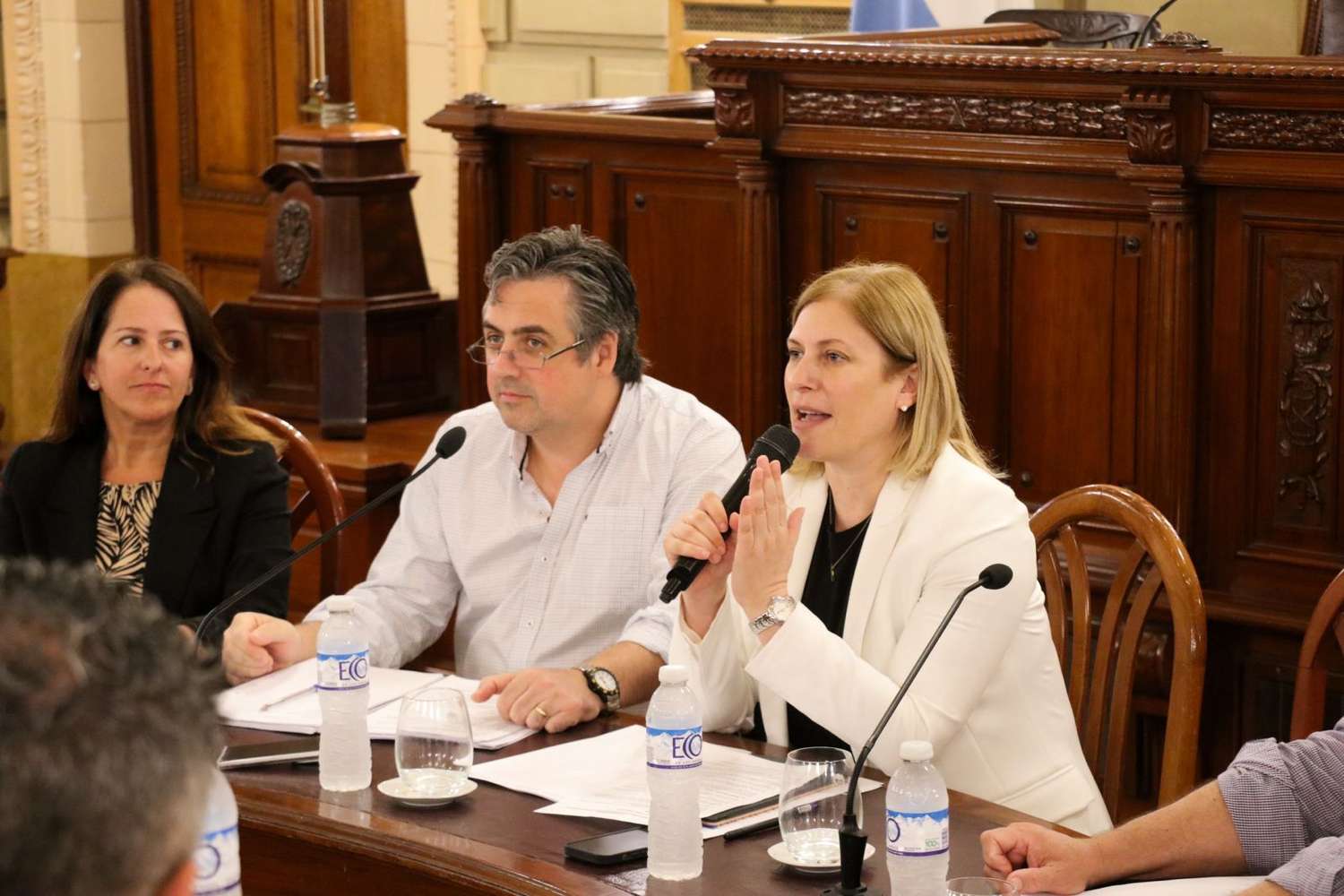 El ministro junto a la vicegobernadora Gisela Scaglia, se reunió con legisladores.