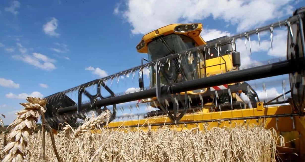 La campaña del trigo le aportaría unos US$ 1.000 millones al fisco