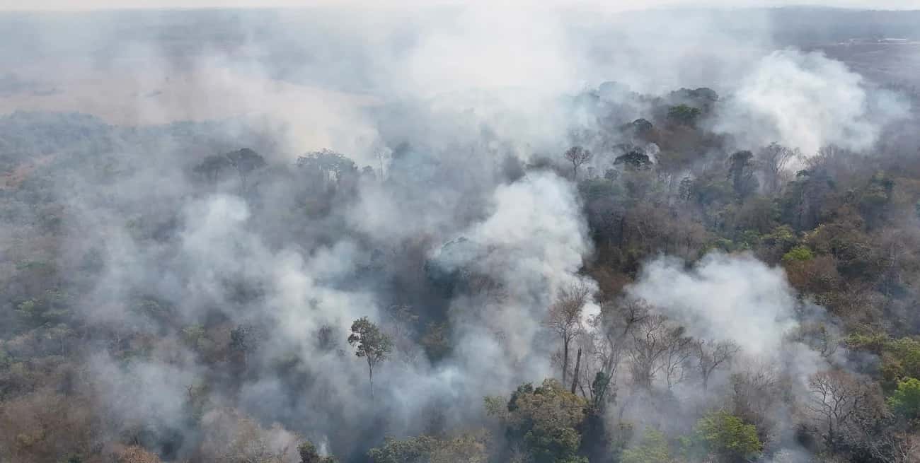 Crece la preocupación por el aumento de incendios forestales en el norte de la Amazonia