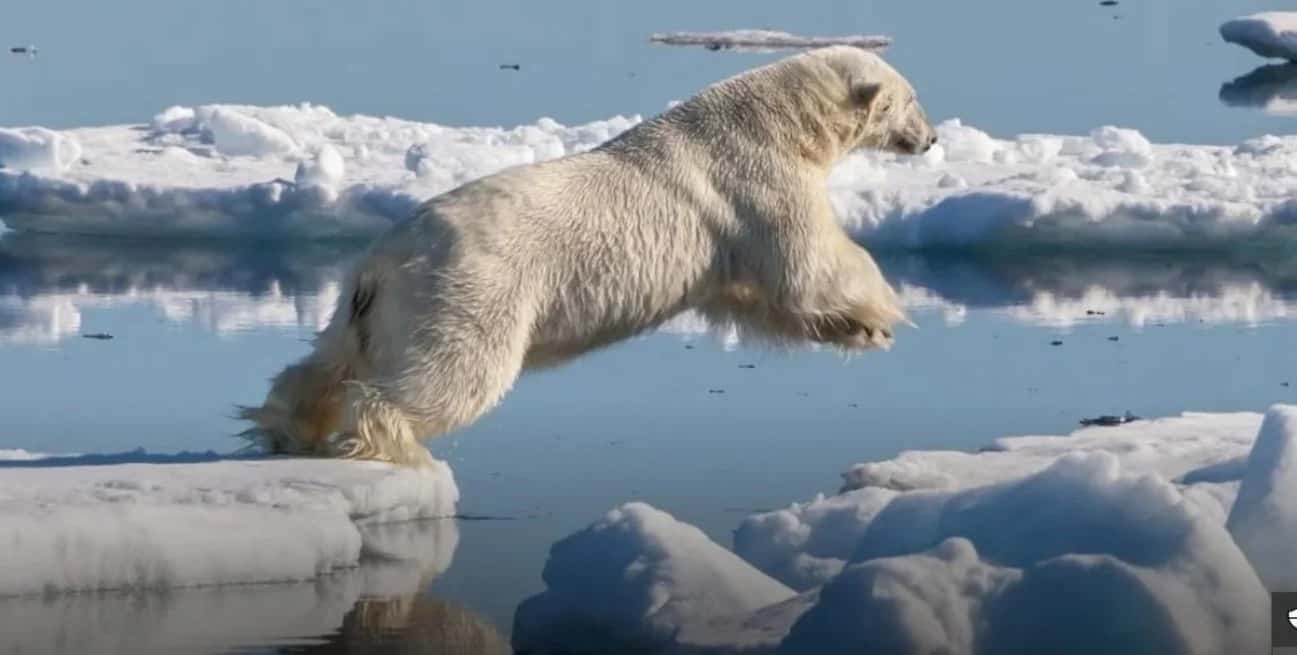 Estiman que en diez años el Ártico podría quedarse sin hielo en verano