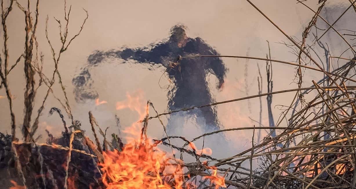 Incendio en las islas: finalmente será la Justicia rosarina la que podrá investigar las quemas