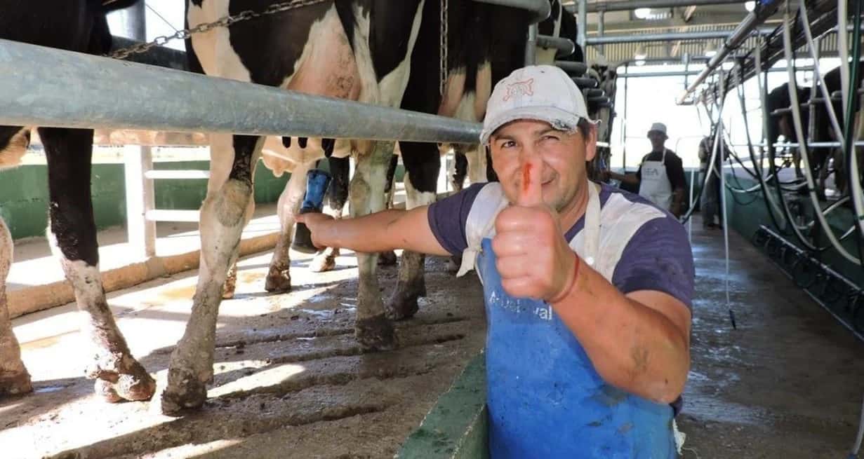 Los productores próximamente podrían acceder a créditos que se podrán pagar en litros de leche.
