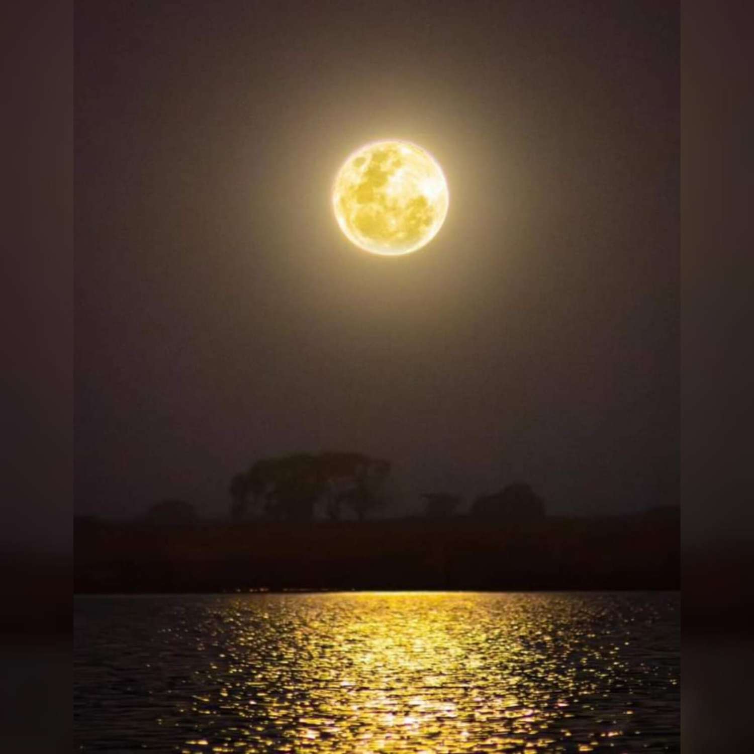 Imponentes imágenes de la "Luna llena de Gusano" desde Laguna El Hinojo de Venado Tuerto