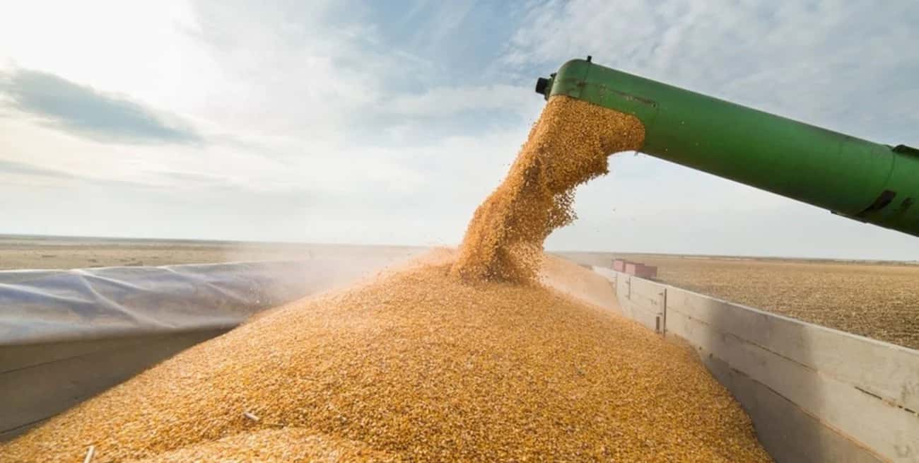 Agroexportadoras liquidaron US$ 1501 millones durante marzo