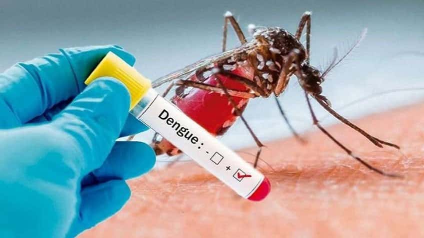Murió la primera persona por coinfección de dengue en Argentina
