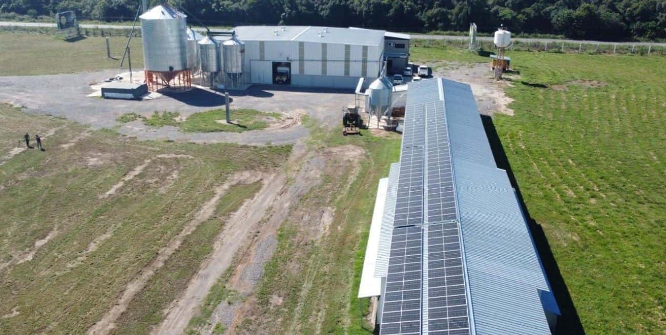 Los paneles aportan el 100% de la energía de la granja ubicada en ruta nacional N° 11 Km 525, en Llambi Campbell.