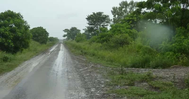 Zona núcleo: alivio para los chacareros ante lluvias modestas