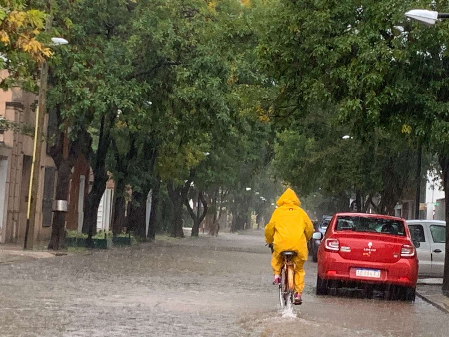 Lluvias intensas en Venado: corte de calles y limpieza de desagües