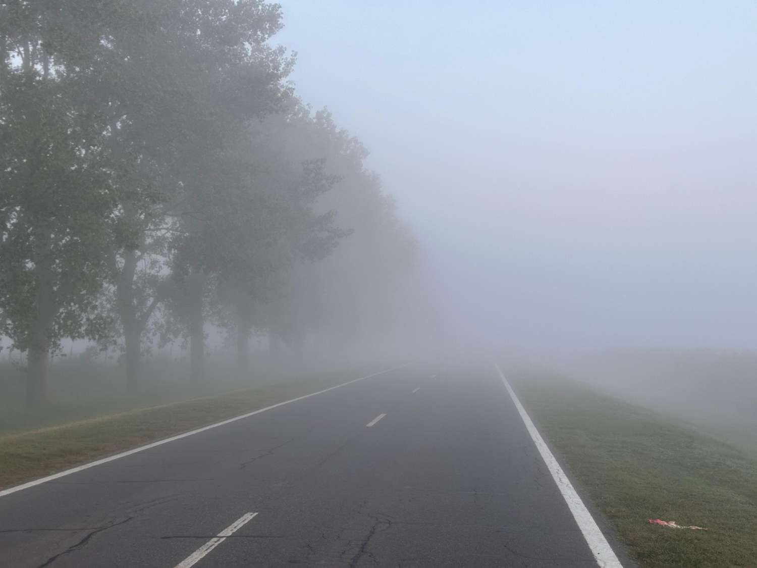 Densa niebla se apoderó de las rutas del sur santafesino: ¿cómo estará el clima esta semana?
