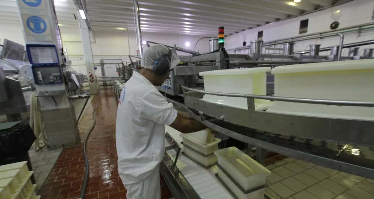 La producción láctea industrial santafesina fue uno de los sectores que continuó disminuyendo durante el primer mes del año, acelerando el proceso de contracción registrado en los últimos meses. Foto: Mauricio Garín.