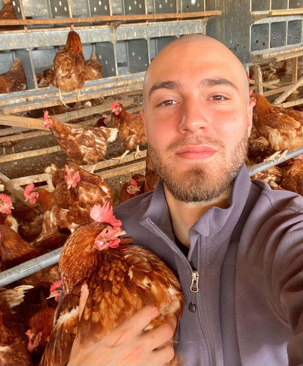 Gallinas felices y huevos premium que ganan mercados locales y ...