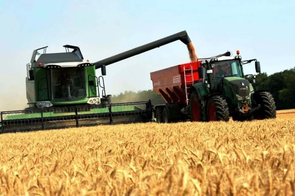 La siembra de trigo se vería favorecida por la humedad y los precios