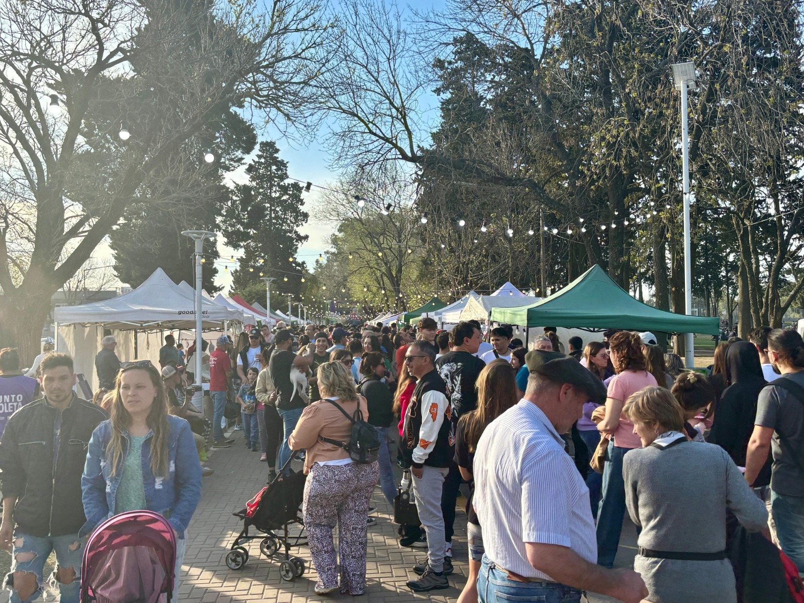 Se destacaron decenas de stands que fueron visitados por los vecinos de la ciudad y la región.